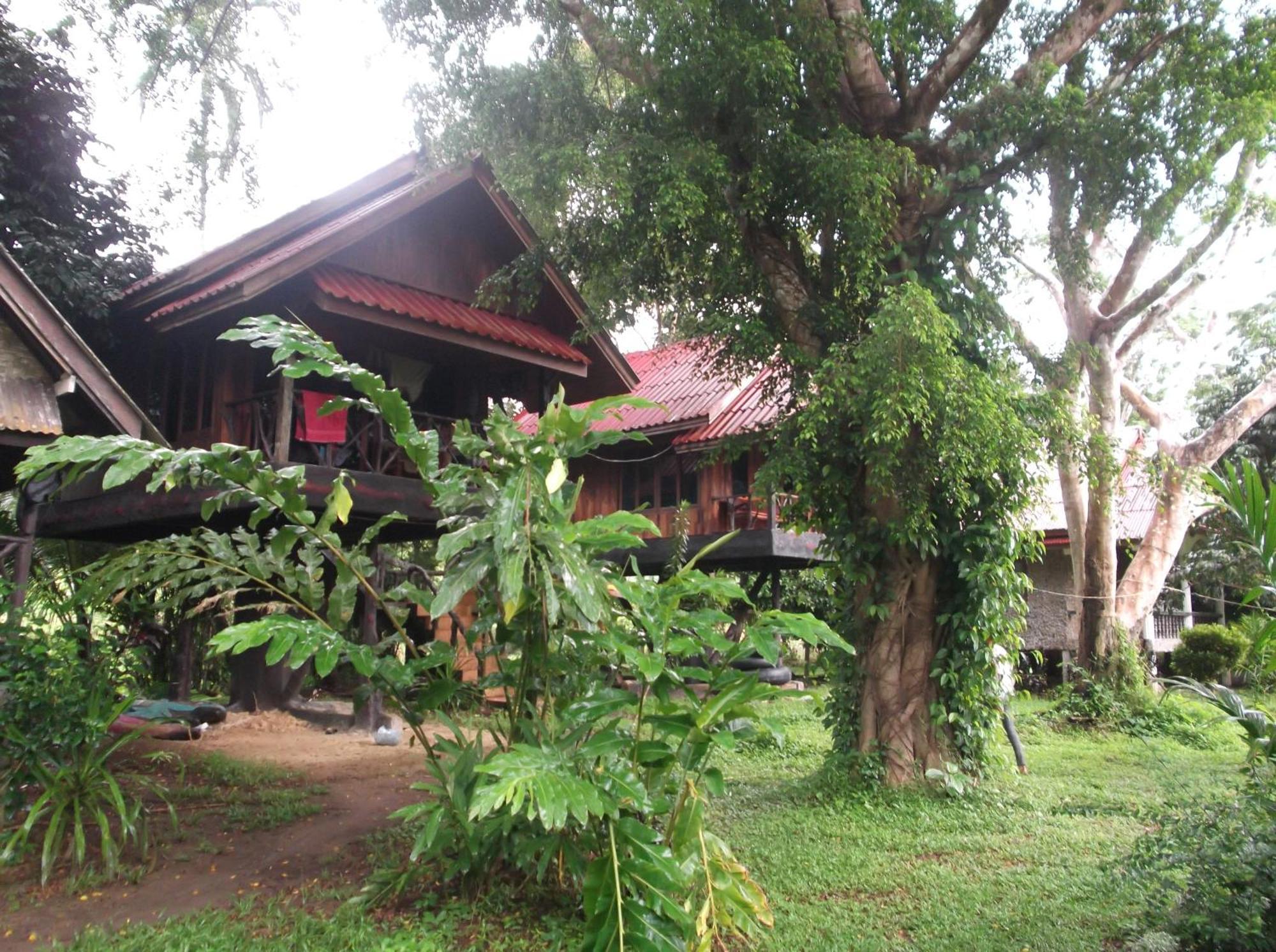 Bamboo House Hotel Khao Sok National Park Kültér fotó