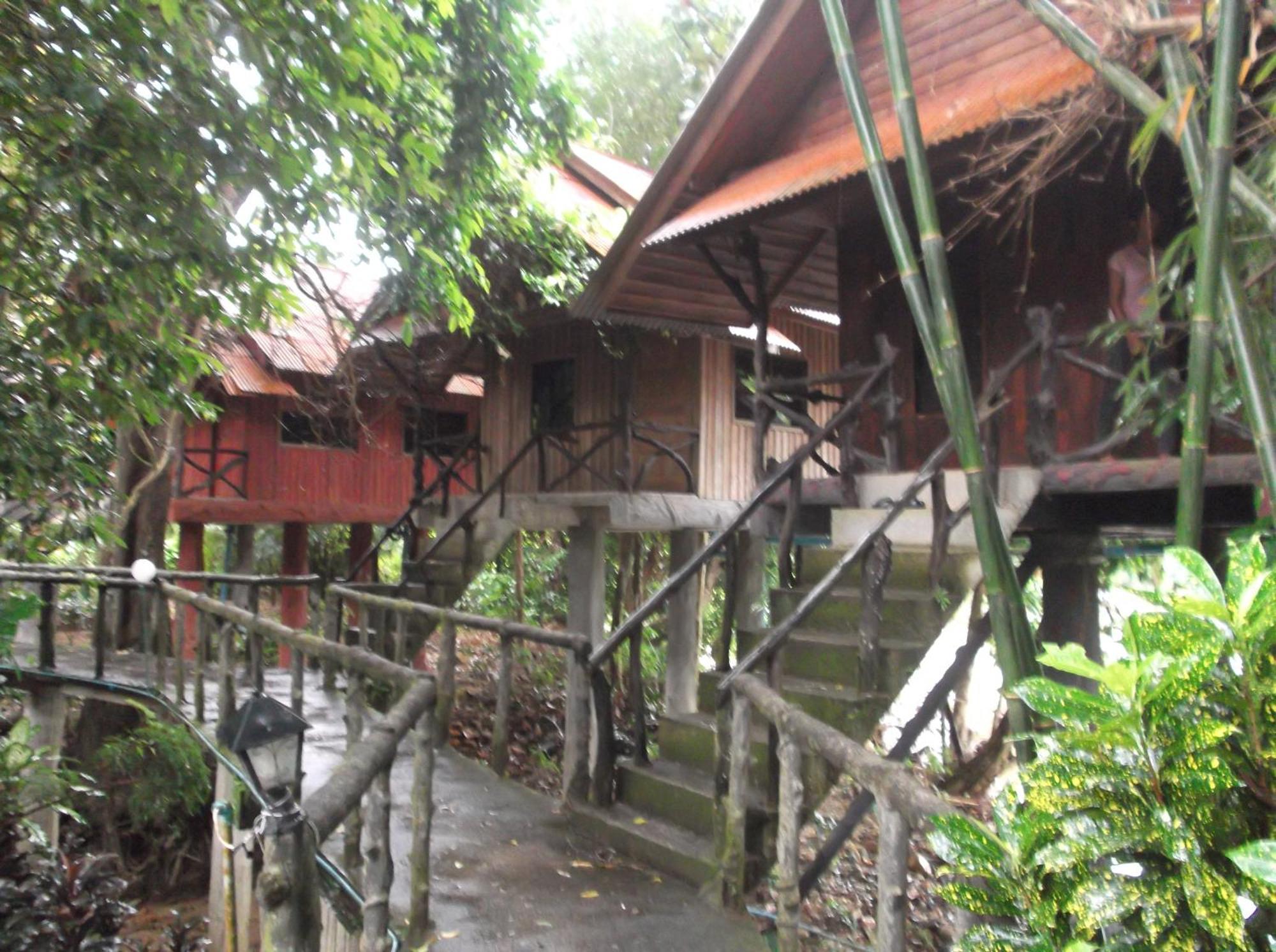 Bamboo House Hotel Khao Sok National Park Kültér fotó